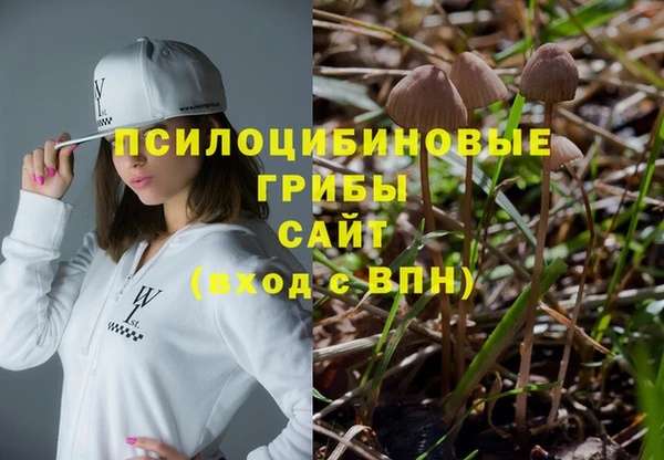 винт Алзамай