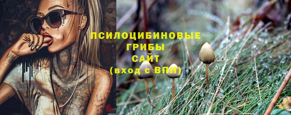 спайс Алексеевка